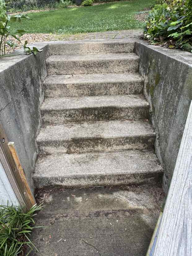 Concrete garden steps darkened with moss and algae before washing.