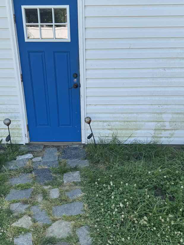Siding beside a blue entry door with green algae staining along the lower boards.
